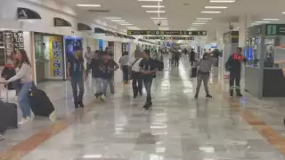 Decomisan en el AICM más de seis mil gramos de metanfetaminas en una maleta 