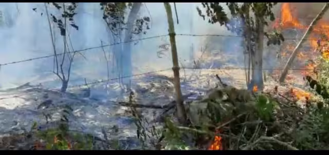 El humo, consecuencia de la quema, ya molesta a los habitantes de la zona