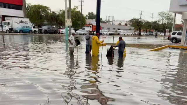 Autoridades atienden reportes de vecinos de Chetumal