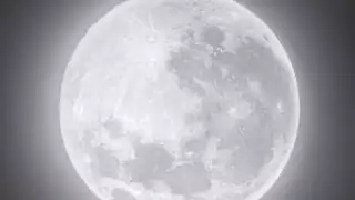 La expedición sigue arrojando datos interesantes. Foto: Especial