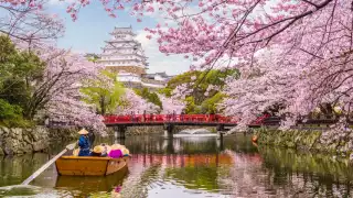 Si visitarás Japón, pon atención que pasa durante estos días. Foto: Especial