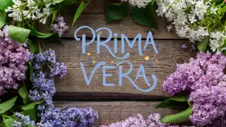 La primavera está por entrar a México, te decimos a qué hora será. Foto: Especial