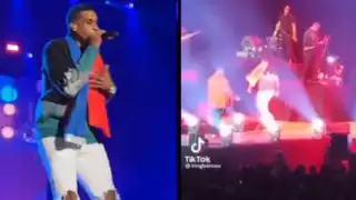 El concierto lo ofreció este sábado en Francia. Foto: TikTok