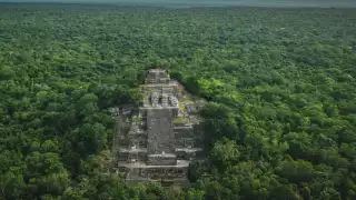 Calakmul fue abierto al público en los años 80. Foto: Especial