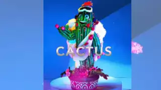 La hermosa planta desértica dejó el programa este domingo. Foto: ¿Quién es la Máscara?