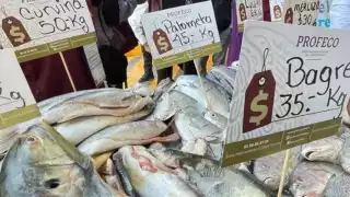 Los precios lucen con papeletas oficiales de la Profeco. Foto: Especial