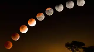 Te traemos todos los detalles del eclipse parcial de la luna de este martes. Foto:Especial