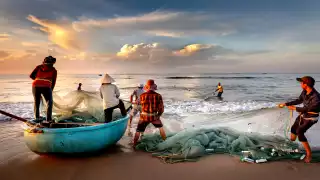 Los pescadores son pieza clave en la economía del país, además de ser el sustento de millones de familias. Foto: Especial