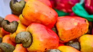 Campeche tiene grandes delicias frutales