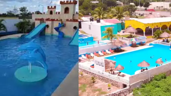 La opción perfecta para el domingo. Foto: Especial