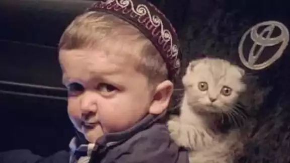 Hasbulla criticado por maltratar a su gato: VIDEO Hasbulla criticado por maltratar a su gato: VIDEO