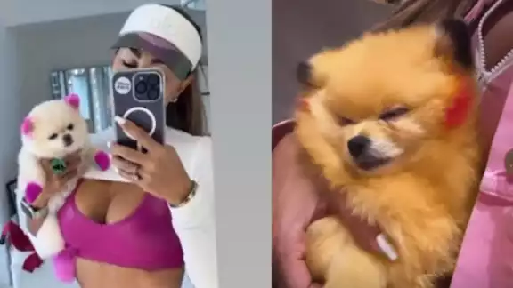 "El Bombón" asesino volvió a pintar a su mascota. Foto: Especial