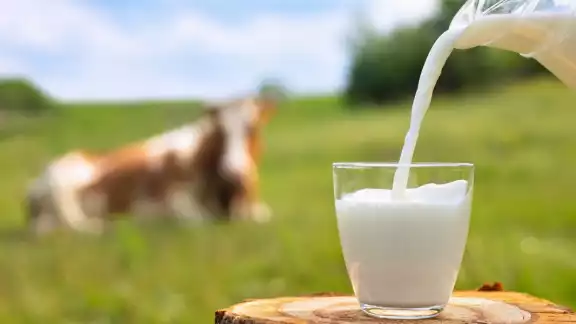 No todo lo que tomas es leche de vaca, te decimos que marcas no son leche. Foto: Especial No todo lo que tomas es leche de vaca, te decimos que marcas no son leche. Foto: Especial