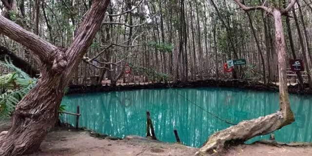 El cenote El Corchito. Foto: Instagram 
el_corchito_eco