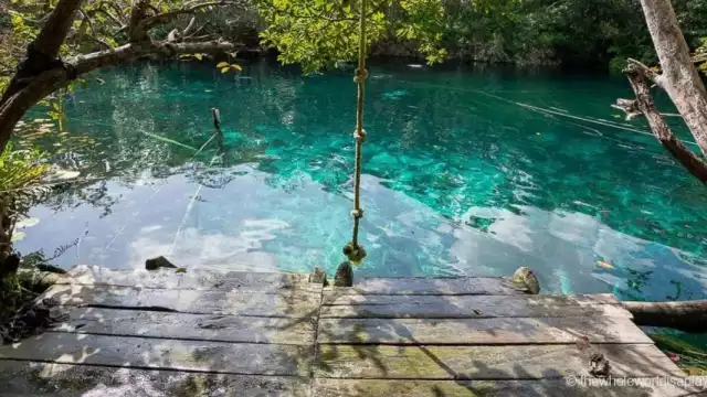 Te contamos la historia de su peculiar nombre. Foto: Especial