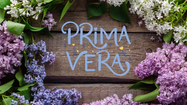 La primavera está por entrar a México, te decimos a qué hora será. Foto: Especial