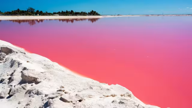 Las Coloradas se encuentra en conflicto por problemas entre guias de turistas