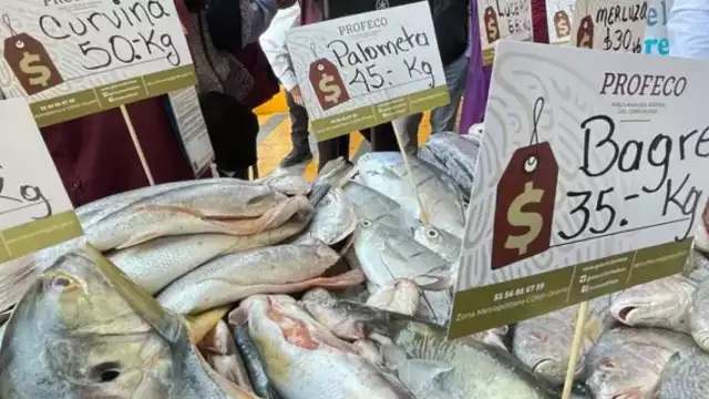 Los precios lucen con papeletas oficiales de la Profeco. Foto: Especial