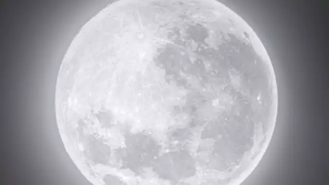 La expedición sigue arrojando datos interesantes. Foto: Especial