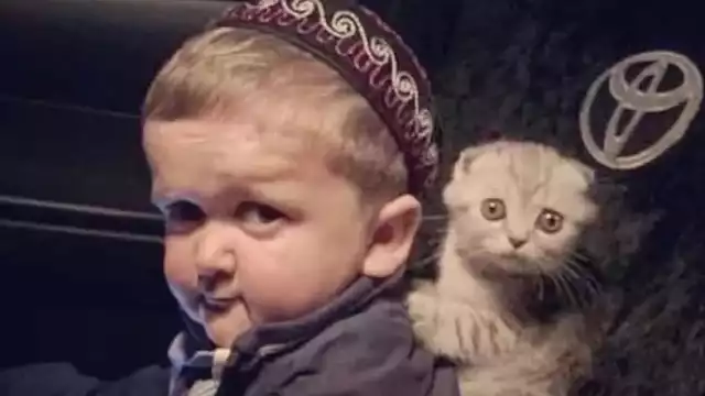 Hasbulla criticado por maltratar a su gato: VIDEO