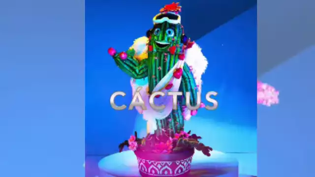 La hermosa planta desértica dejó el programa este domingo. Foto: ¿Quién es la Máscara?