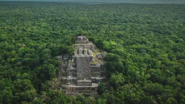 Calakmul fue abierto al público en los años 80. Foto: Especial