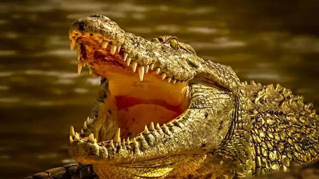 Las autoridades estudian las causas de muerte del menor. Foto: Especial