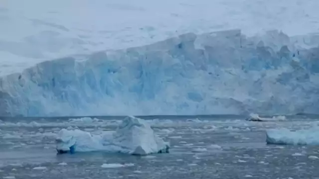 El gigantesco bloque de hielo es un peligro para la fauna. Foto: Especial