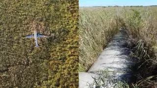 El avión se encuentra rodeado de selva y manglares ubicado a 15 kilómetros de Celestún, Yucatán