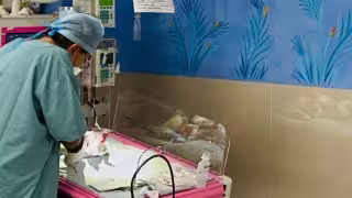 Dos bebés nacieron este 1 de enero de 2023 en Mérida