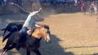 Un toro embistió al caballo, que sufrió heridas en las patas traseras