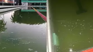 El agua de la alberga olímpica de la Unidad Deportiva ‘20 de Noviembre’ de Campeche presenta un estado insalubre