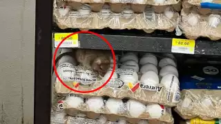 La rata se encontraba sobre los alimentos del supermercado