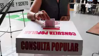 INE estima menos del 8% de participación en consulta popular..