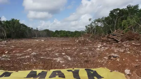 EL Juzgado Primero de Distrito en Yucatán otorgó una suspensión definitiva en los tramos 3, 4, 5 Norte y 6 del Tren Maya