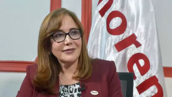 La Comisión Nacional de Honestidad y Justicia de Morena tomó esta medida contra la ex dirigente nacional La Comisión Nacional de Honestidad y Justicia de Morena tomó esta medida contra la ex dirigente nacional