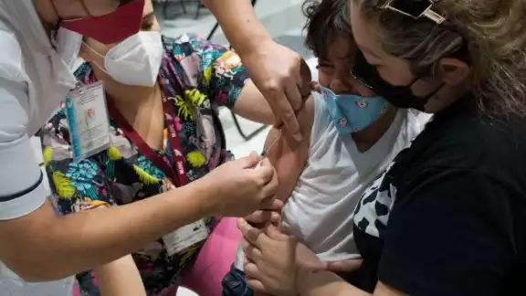 La aplicación de la primera dosis anticovid de Pfizer a menores de cinco a 11 años en Cozumel se dividirá por edades La aplicación de la primera dosis anticovid de Pfizer a menores de cinco a 11 años en Cozumel se dividirá por edades