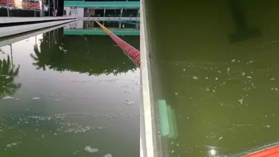 El agua de la alberga olímpica de la Unidad Deportiva ‘20 de Noviembre’ de Campeche presenta un estado insalubre El agua de la alberga olímpica de la Unidad Deportiva ‘20 de Noviembre’ de Campeche presenta un estado insalubre