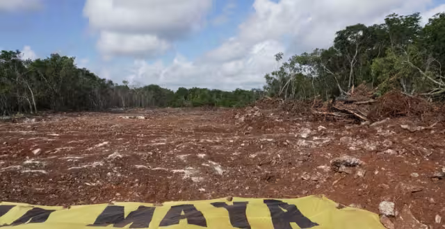 EL Juzgado Primero de Distrito en Yucatán otorgó una suspensión definitiva en los tramos 3, 4, 5 Norte y 6 del Tren Maya