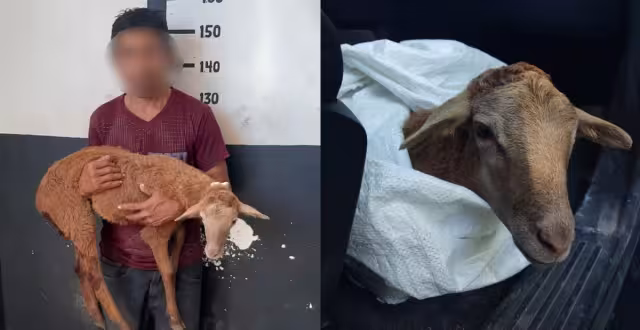 Bajo los influjos del alcohol, un sujeto dijo que su patrón le debía 200 pesos y necesitaba efectivo