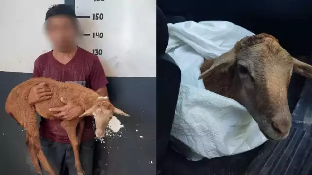 Bajo los influjos del alcohol, un sujeto dijo que su patrón le debía 200 pesos y necesitaba efectivo