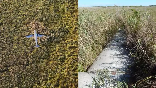 El avión se encuentra rodeado de selva y manglares ubicado a 15 kilómetros de Celestún, Yucatán