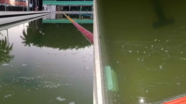 El agua de la alberga olímpica de la Unidad Deportiva ‘20 de Noviembre’ de Campeche presenta un estado insalubre