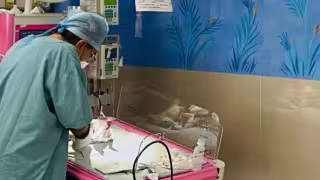 IMSS descarta bacteria en hospital de Durango; fue detectada en cuatro de cinco bebés fallecidos
