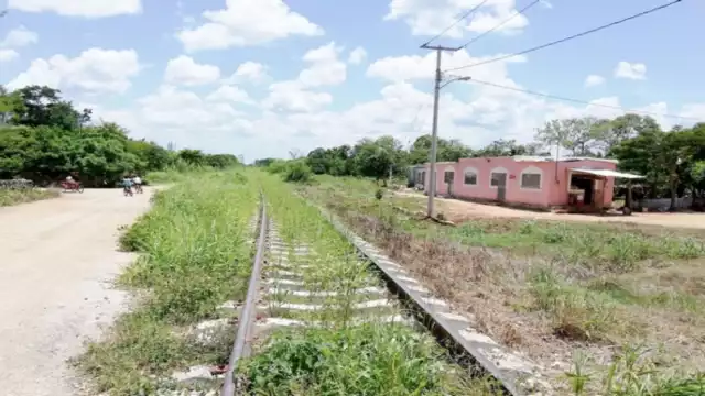 Foto: Néstor Cuevas