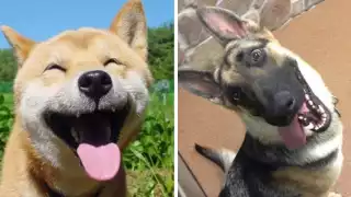 En el caso particular en México, este bella celebración, se lleva a cabo en el tercer domingo del mes de julio