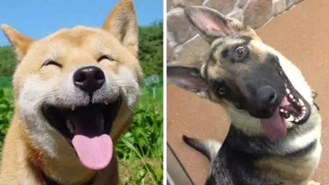 En el caso particular en México, este bella celebración, se lleva a cabo en el tercer domingo del mes de julio