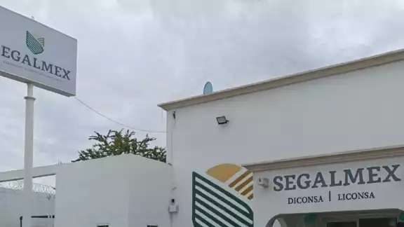 Segalmex está envuelto en un escándalo millonario