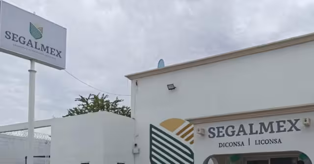Segalmex está envuelto en un escándalo millonario