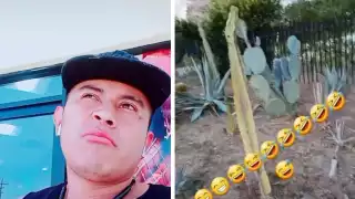 “Ahí está la comida de los pu... mexicanos. Esos pin... mexicanos lo que comen, los nopales con espinas", dijo el tiktiker